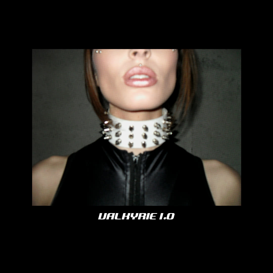 Close-up of a spiked collar, campaign visual